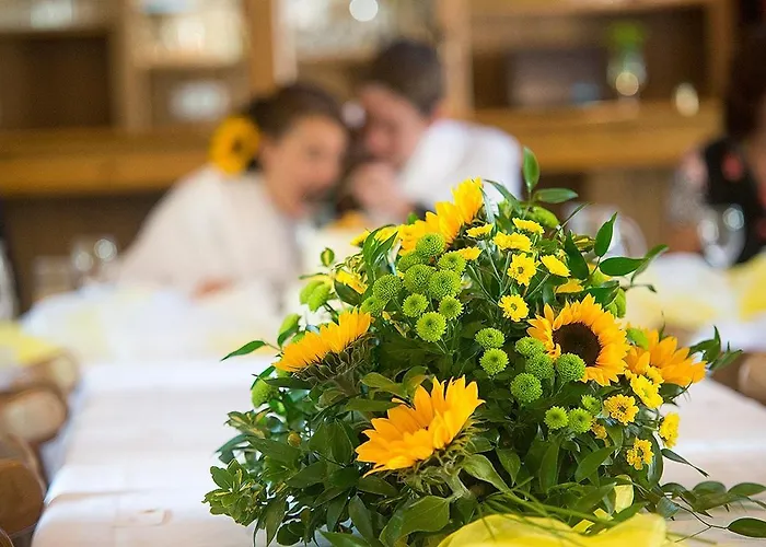 Hotell U Hrabenky 4*